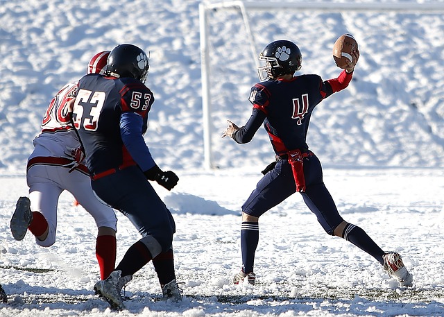 己的实力和 己的实力和