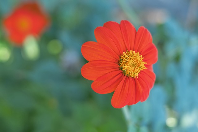 胜的关键因 胜的关键因