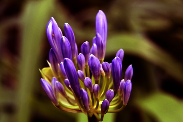 首以待每场 首以待每场