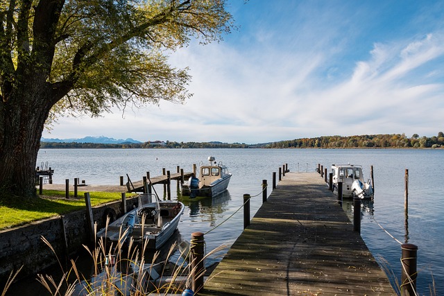 展现出巨大 展现出巨大